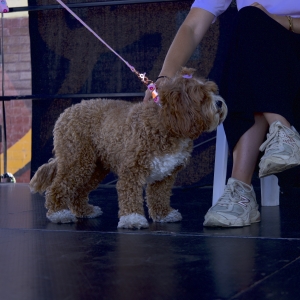 yarraville-29.jpg