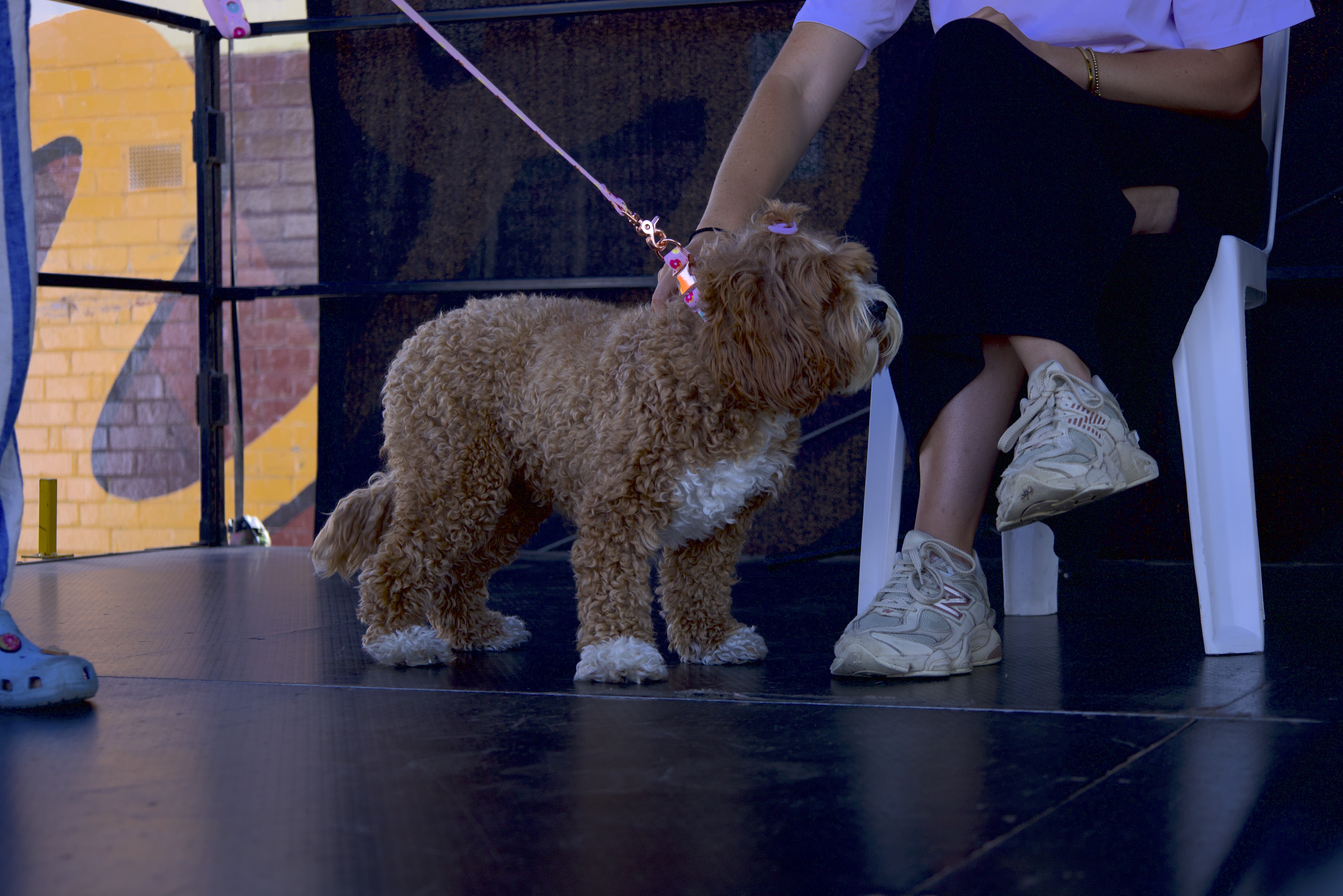 yarraville-29.jpg