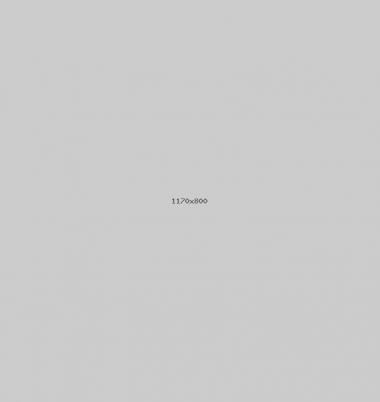 portfolio-new_380x402.jpg