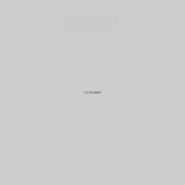 portfolio-new_600x600.jpg