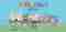 mainheader.jpg